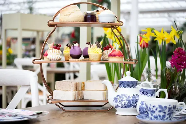 Afternoon Tea at Willington Afternoon Tea at Willington