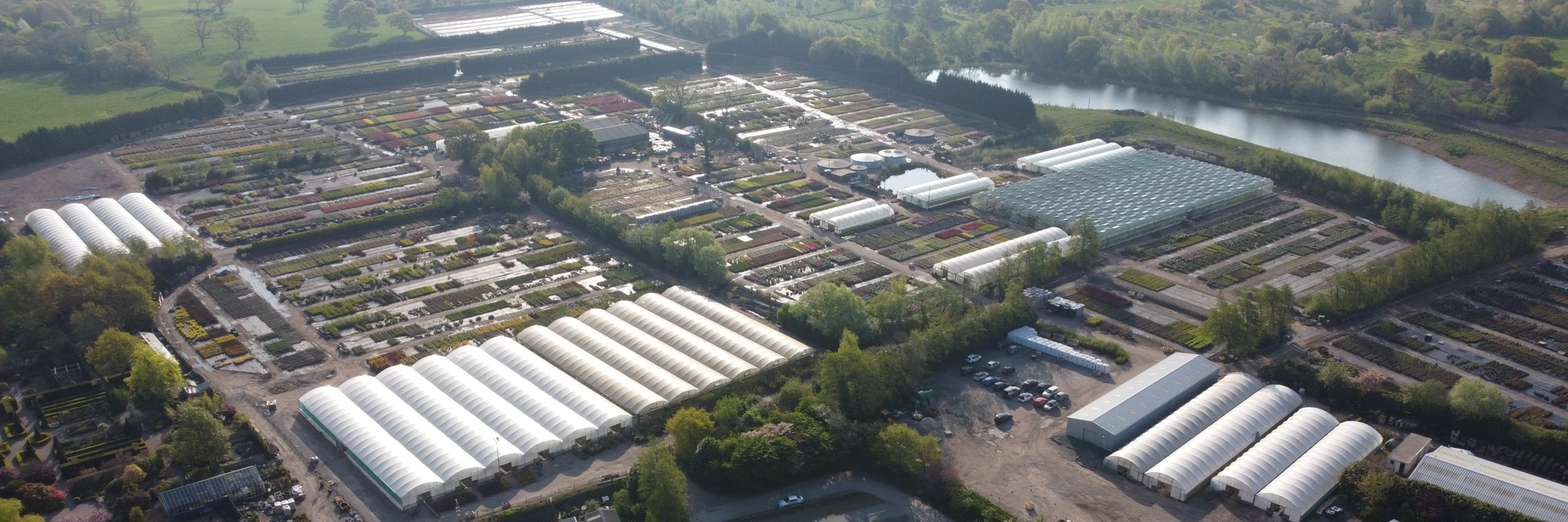 BLUE DIAMOND NURSERIES