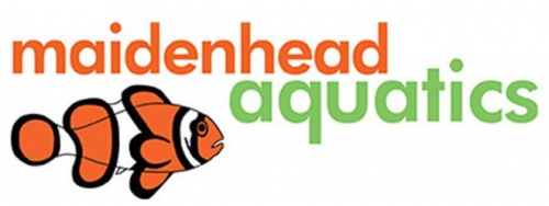 Maidenhead Aquatics