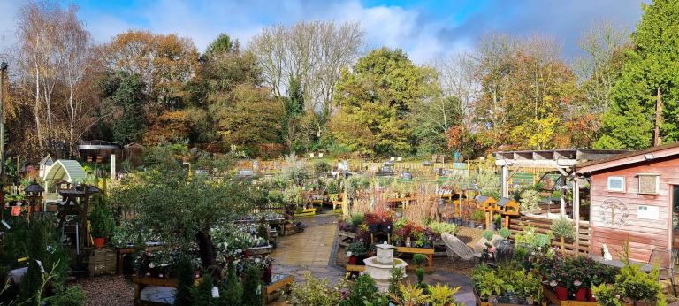 Chenies Garden Nursery & Cafe