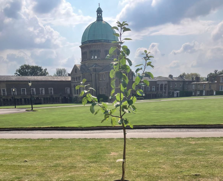 Haileybury College