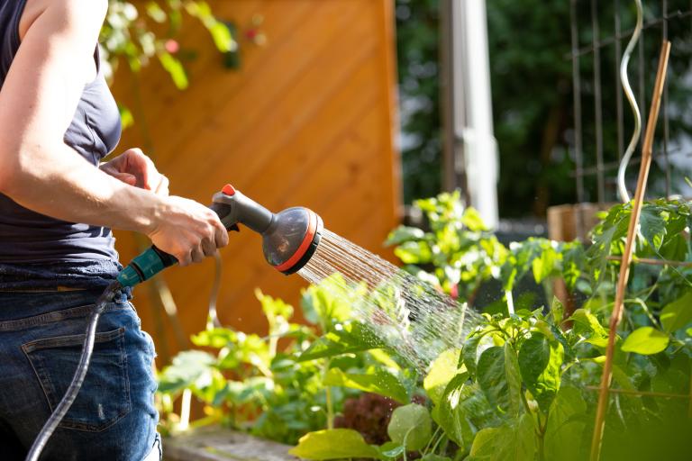 Watering