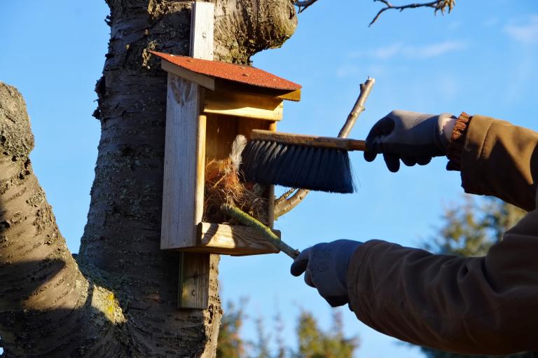 Looking after your nestbox