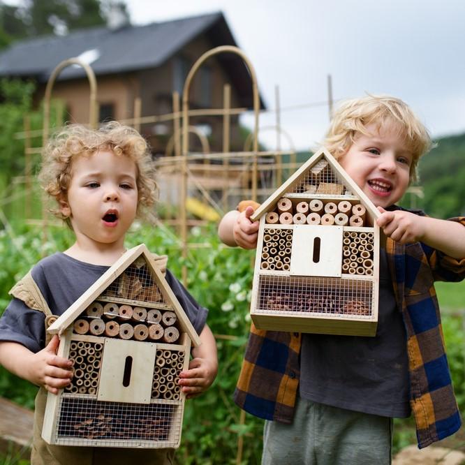 Build and create homes for wildlife