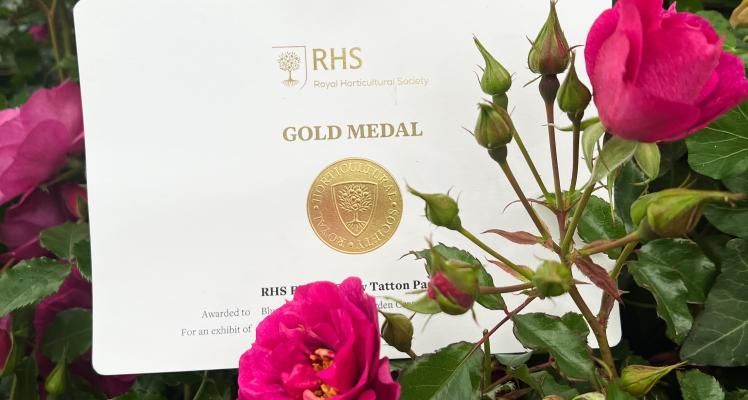 It's a Double Gold for Blue Diamond at RHS Tatton!