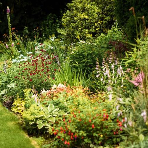 Plants at Brambridge Park